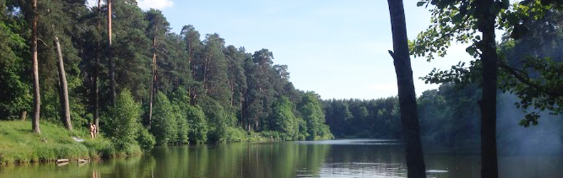 Forest Management and Verification Course