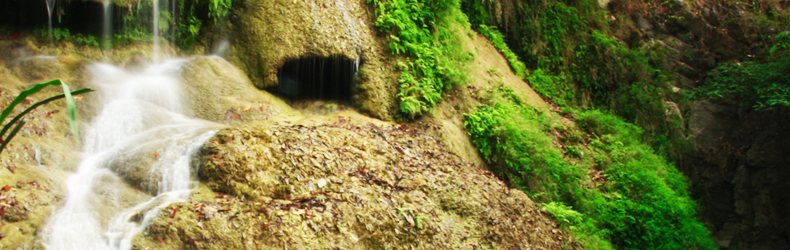 Ecological Footprinting Course